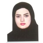 محمدی نوروزآبادی